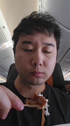 zipair flight meal | meal