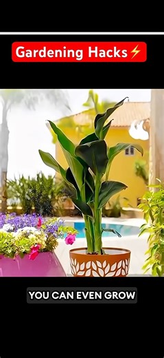 Life Hacks That Actually Make Life Easier💡 #LifeHacks ⚡ #DailyTips 📝 #SmartLiving 🧠 #QuickFixes ⏱️ | Life Tips