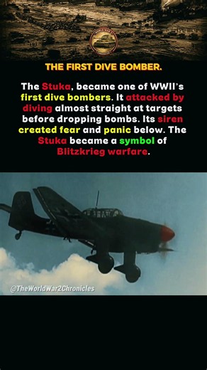 The Stuka: The First Dive Bomber Of WW2 #history #worldwar2 #ww2