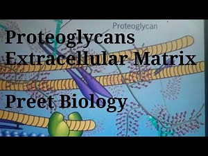 Proteoglycan l Extracellular Matrix l Cell Biology