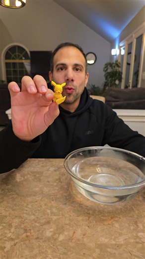 Pikachu Adventures in Water