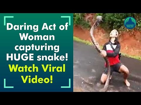 Watch this Viral Video! Woman catches huge snake with bare hands