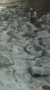 The ZION Glacia Cold Plunge invites you to pause, reset, and strengthen your body from within through ice bath and cooling therapy. Expertly crafted with Canadian red cedar wood and a 304-grade stainless steel interior, it’s designed for both wellness and timeless durability. Enjoy the cold plunge in two ways: simply add ice blocks to the water, or use the ZION Arctiq Cooling Machine, available as a bundle. Message us now to place your order! 🎁 LIMITED OFFER: Get your ZION GLACIA Cold Plunge to