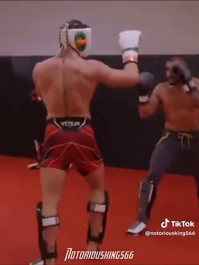 Conor McGregor Sparring Session Highlights