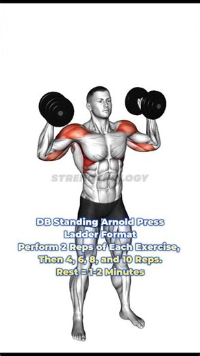 20 Minutes to a Stronger, More Muscular Upper Body 💪🔥