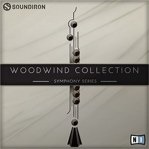 Presenting The Symphony Series Woodwind Collection