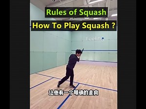 How to Play Squash for Beginners - What Is Rules Of Squash Games