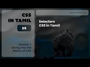 E5: Selectors | Diving into the Basics of CSS | CSS in Tamil
