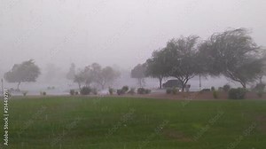Microburst Storm with Damaging Winds and Sheets of Rain