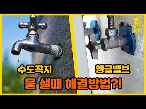 Is your faucet/angle valve leaking?! Instead of replacing the whole thing, try replacing just this!