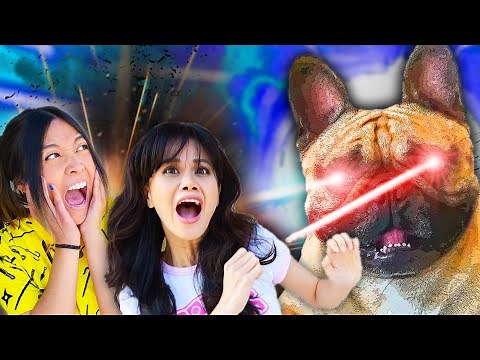 YouTube Fans CONTROL MY LIFE for 24 Hours