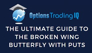 The Ultimate Guide To The Broken Wing Butterfly With Puts
