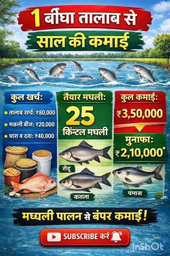 1 बीघे तालाब से साल की कमाई ?#machhlipalan #fishfarming #fishfarming #machhlipalanbusiness #viral