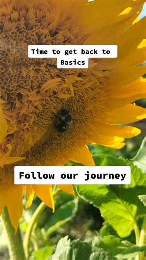 Welcome to our Homestead, Follow along and lets learn to homestead together, We appreciate all the support you have given us! #modernhomestead #homestead #homesteading #family #fypシ #slowdown | Modern Homestead | Facebook