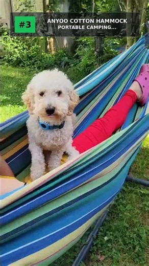 Top 5 Camping Hammocks 2026 #shorts