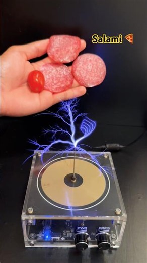Lightning power Tesla Coil Salami 🍕 #teslacoil #experiment