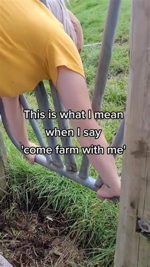 89K views · 994 reactions | Would you farm with me | Farmgirlwithspice | Facebook