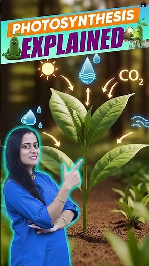 Photosynthesis explained in simple words #concepthogacrystalclear