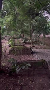 91K views · 1.2K reactions | 'વાતો વડોદરાની’ અંતર્ગત આજે વાત કરવાની...