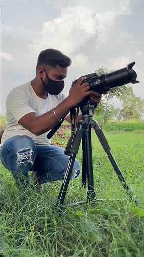 Nikon Coolpix p1000 camera wildlife photography| Best camera for zoom and wildlife photography