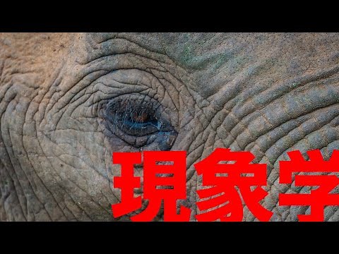 [Husserl ①] History of Western Philosophy: Commentary on Contemporary Philosophy [Phenomenology] ...