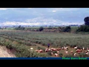 Psalm 23 - Juanita Bynum - The Lord Is My Shepherd