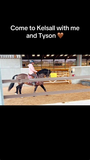 Training with Tyson at Kelsall Hill Equestrian Centre