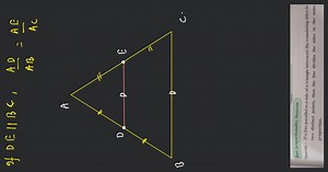 Let's learn. Basic proportionality theorem Theorem : If a line ... | Filo