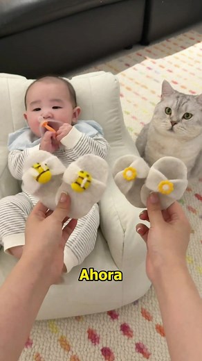 Furry slippers for kittens and babies | cat stuff