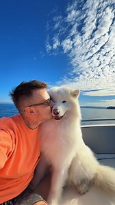 Nemám ďalšie otázky. Ten pekný psík povedal všetko. A ja verím pekným psíkom 🐻‍❄️💙 Áno, je to všetko viac o mojich snoch, ako o jeho. Ja ale budem o 10 rokov s úsmevom na perách spomínať na toto parťáctvo. Vždy som miloval cestovanie, a raz na cestách, sa chcem na týchto miestach strašne usmievať a spomínať. 🫶🏻 A presne tak to zostane aj navždy. Bodka. #vorvianino | Vorvi a Ňino