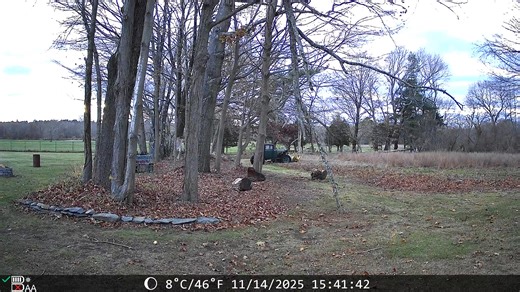 David Bourque on Reels