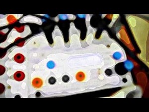 The Real World of Kraut