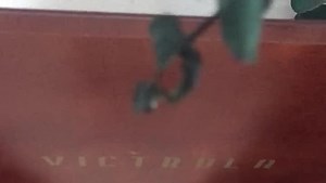 Watch scratched vinyl record on Amazon Live