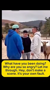 Poor deer🥲😢 | Analyn Mariñas Nacor