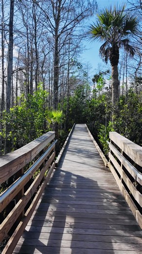 Visit the wetland ecosystem at West Palm Beach, Florida.