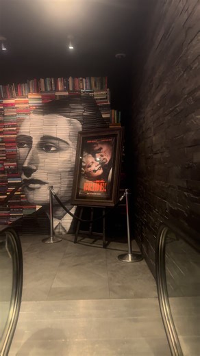 Why You Should Watch The Bride!