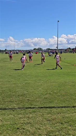 Small Dogs Running Fast: A Ultimate Compilation