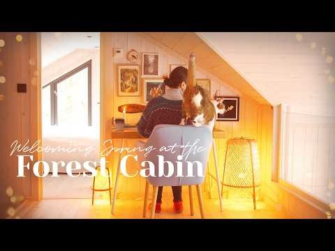 Quiet Cottage Life - Cozy Baking, Forest Walks, Art - Relaxing Slow Living Vlog