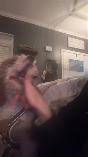 sydney 😋 (@sativad0ll.syd)’s videos with original sound - Izzy🤍