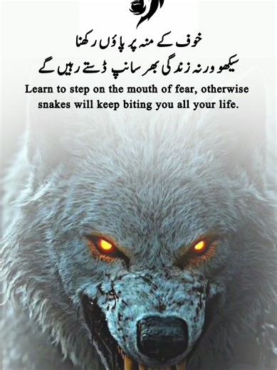Learn to step on the mouth of fear, otherwise snakes will keep biting you all your life. #fy #foryou #fypシ #wolflover #wolf