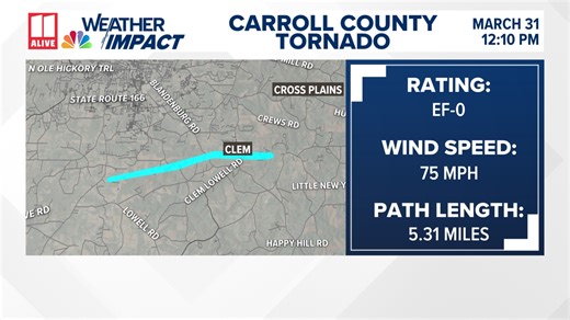 Georgia’s tornado count rises to six after Monday’s storms | Carroll County tornado brings down trees