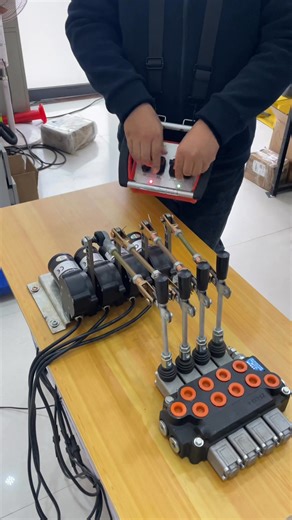 7.8K views · 27 reactions | 4-way wireless remote control, 12/24V...