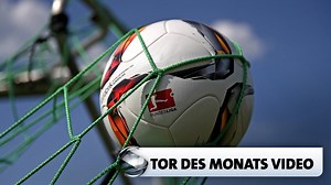 Tor des Monats Januar 1984