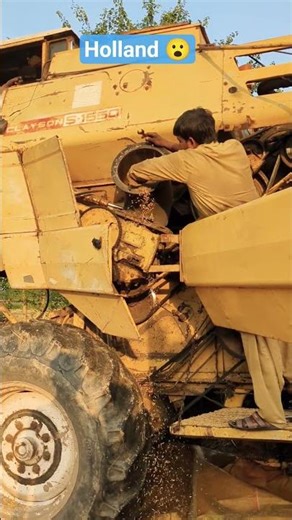 Holland 😮/ rice 🌾