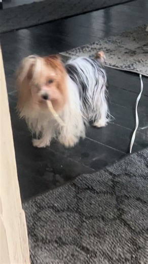 The Parti House (@thepartihouse)’s videos with original sound - The Parti House