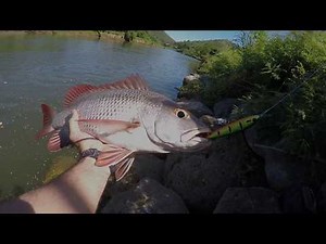 Pêche du bord en Nouvelle Calédonie - Paco Exotic Fishing N°20
