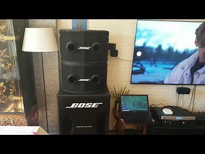 Bose 802II and 302 bass with sp-24 digital processor clone 802c curve