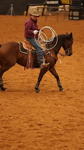 SFBipityBopity Jonez — sired by Travelin Jonez and out of Bipity Bopity Boon — was locking it off hard in the futurity heeling this morning!🔥 That kind of talent turns heads every time. #FuturityHeeling #TravelinJonez #BipityBopityBoon #RopeHorseFuturity #HeelingHorse #CowboyAthlete #VennMedia #WesternPerformance #RopeHorseLife #HorsepowerInTheMaking #RanchRaised #CowboyCulture | Venn Media