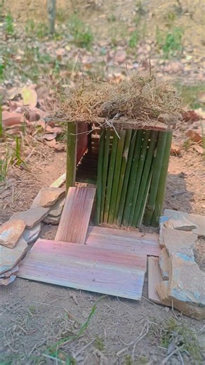 satisfying mini bamboo hut with dried grass roof 🎋🏡 #diy #shorts