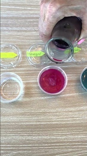 Cabbage Water Acids and Bases Test